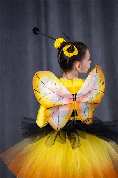 �������� ���� �����